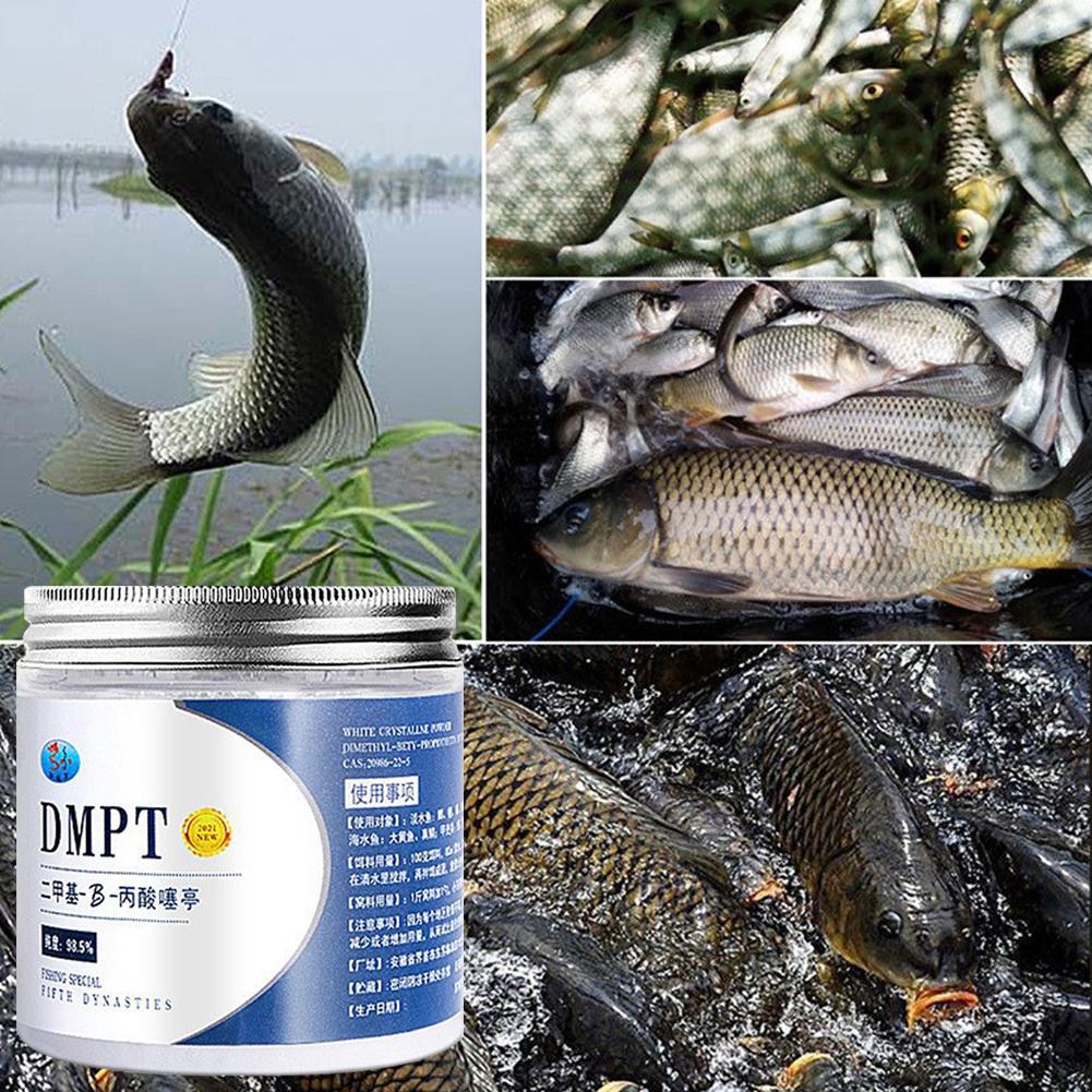 50g 진짜 DMPT 고순도 낚시 미끼 첨가제 냄새 미 - Fishing Equipment Market 리뷰 및 가격